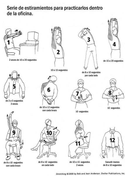 Estiramientos en la oficina